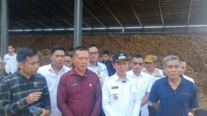 FB_IMG_1747206441137