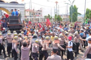 IMG-20250505-WA0044(1)